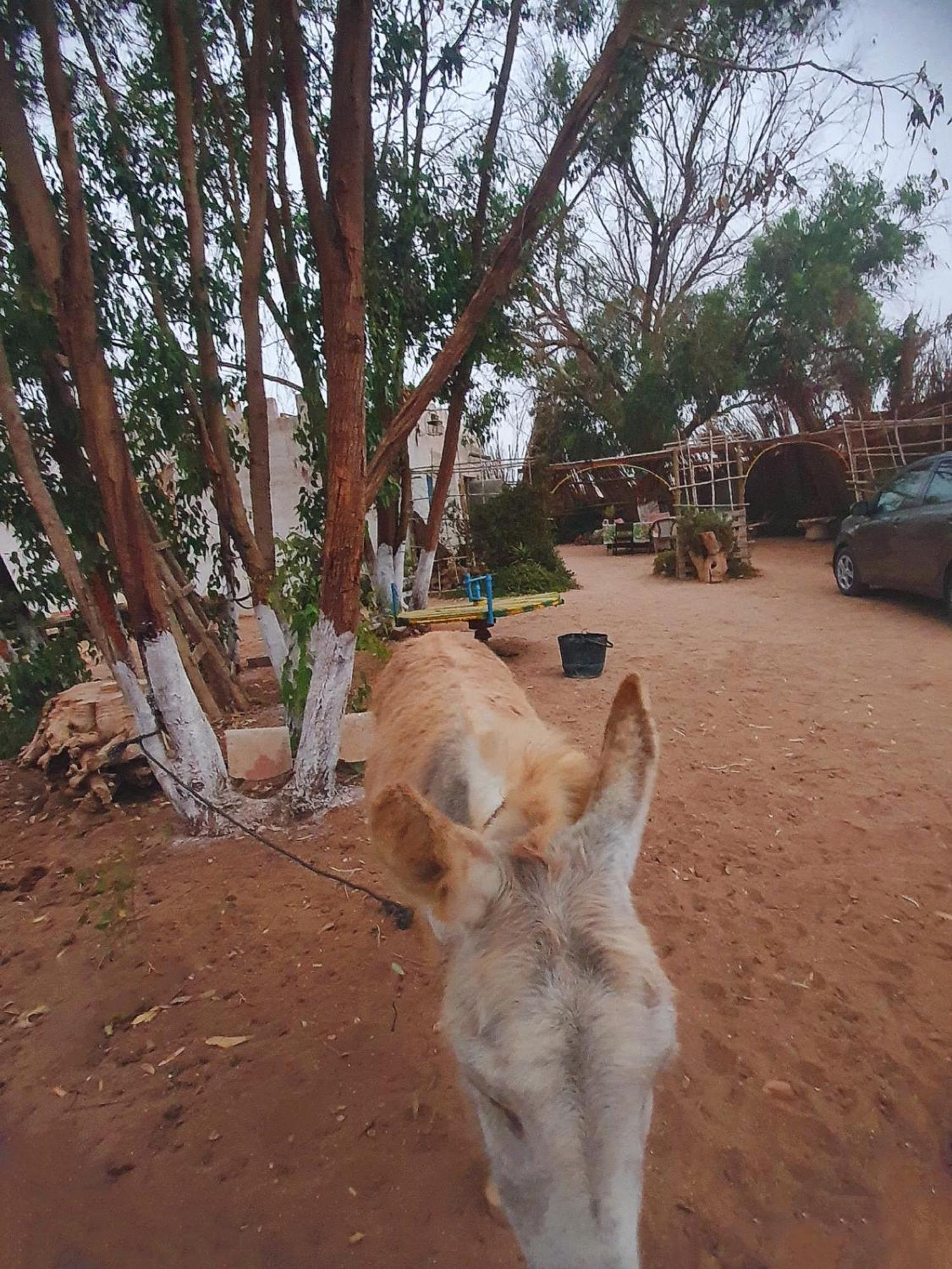 Willa L'Experience Berbere Agadir Zewnętrze zdjęcie