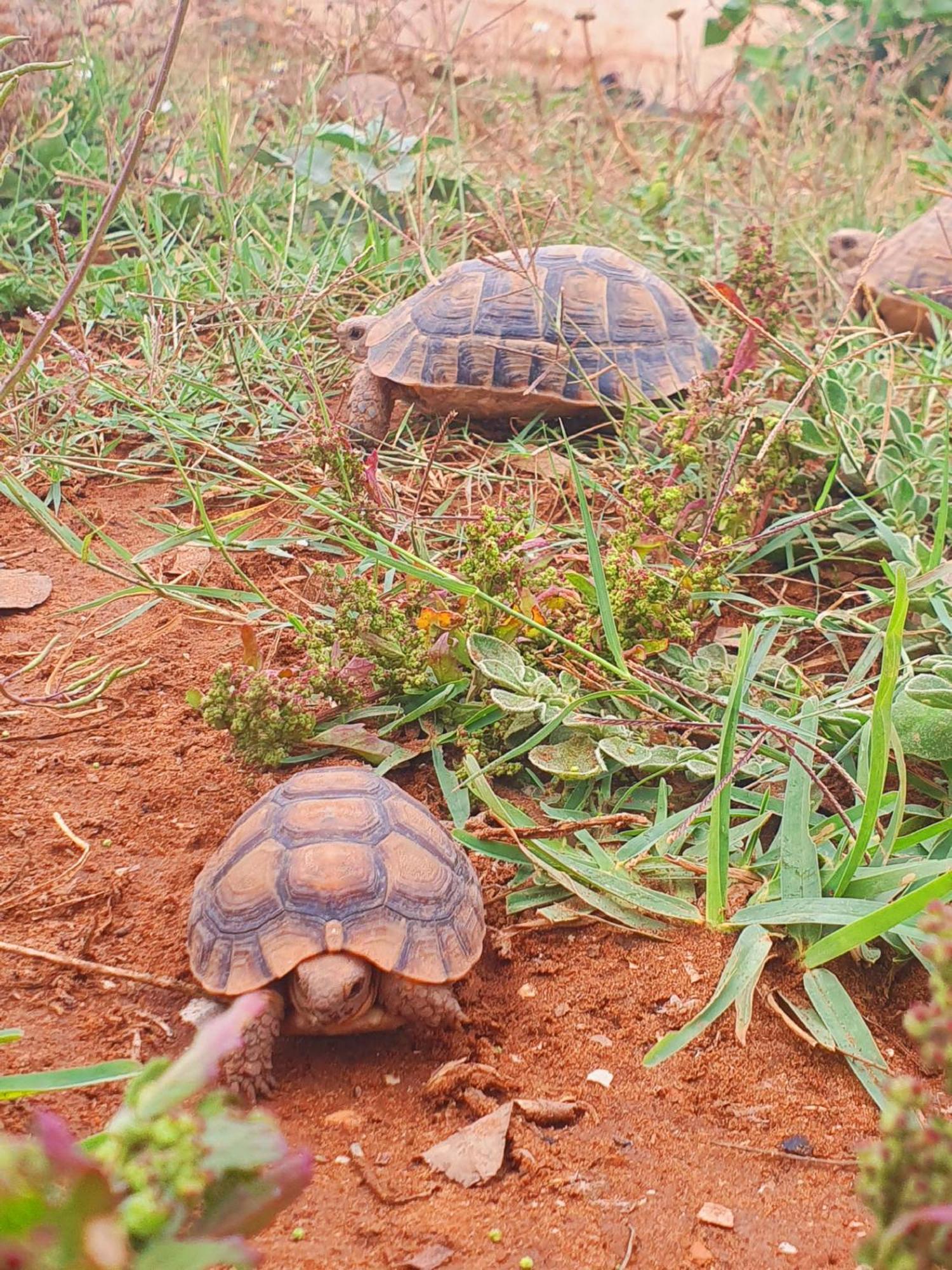 Willa L'Experience Berbere Agadir Zewnętrze zdjęcie